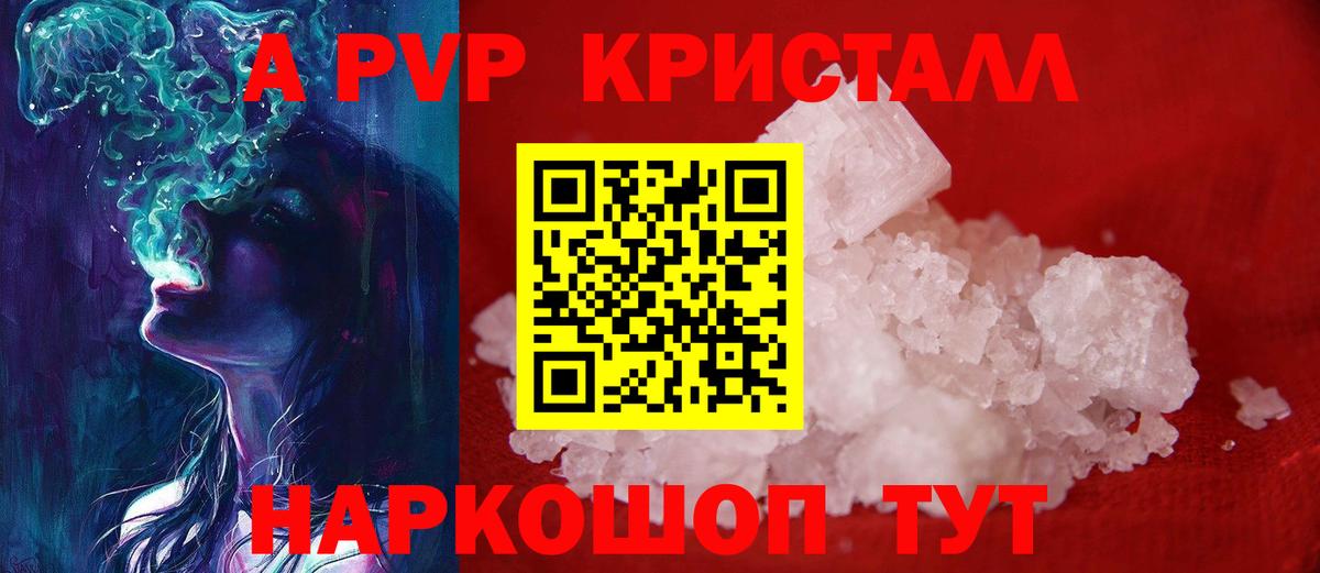 A PVP СК КРИС Сочи
