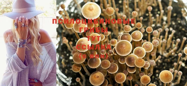 кокс Нея