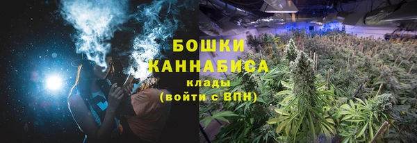 бошки Нефтегорск