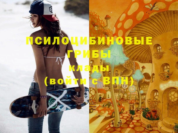 бошки Нефтегорск