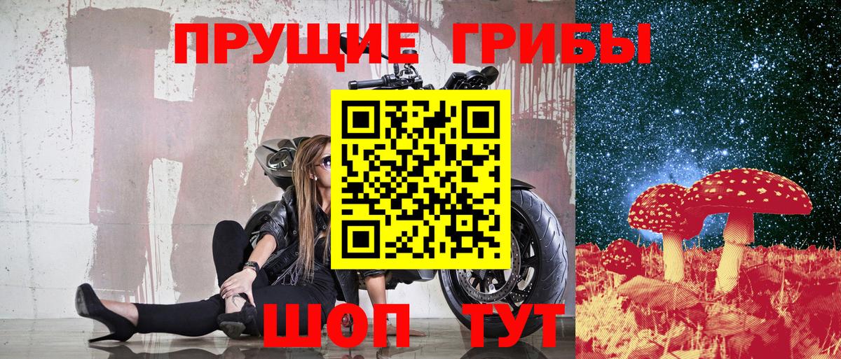 Псилоцибиновые грибы Psilocybine cubensis Сочи