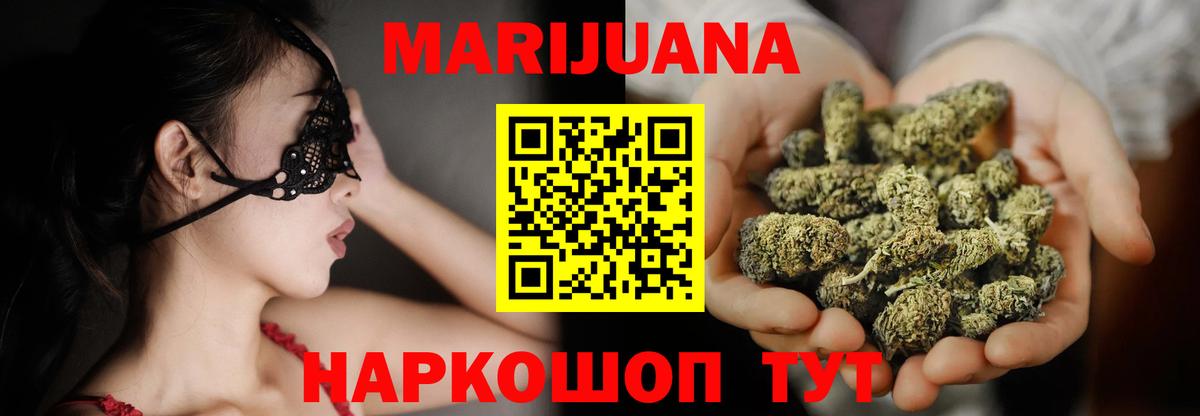 Конопля конопля Сочи
